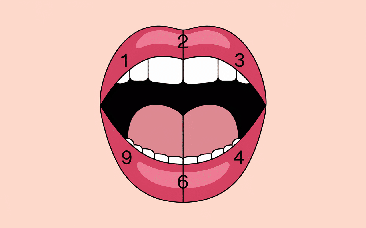 Quadrants schema numérotation dents