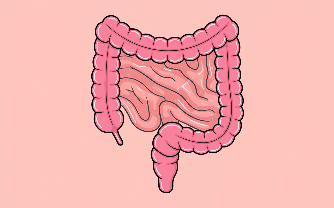 Schéma Metarecod fonctionnement intestinal gel sucre lipide